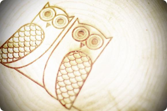 Wedding Owls by Angel Fish Photographic